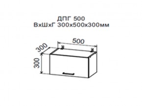 Шкаф верхний ДПГ500 горизонтальный в Губахе - gubaha.магазин96.com | фото