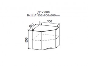Шкаф верхний ДПУ600 угловой в Губахе - gubaha.магазин96.com | фото